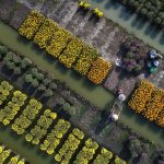 Vẻ đẹp xuân trên quê hương Việt Nam