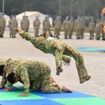 Đội Công binh 'mũ nồi xanh' trình diễn võ thuật